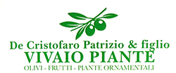 Vivaio De Cristofaro Logo